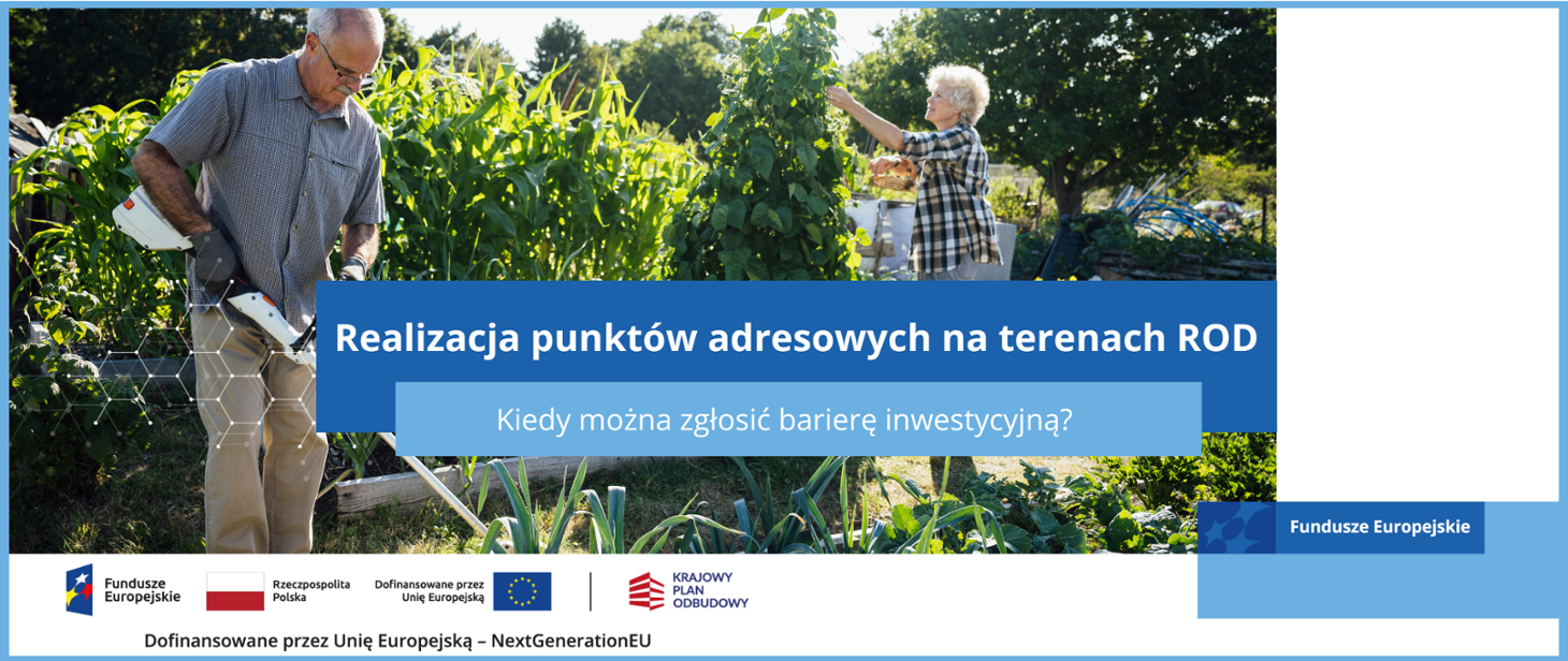 CPPC: ogródki działkowe też są pełnoprawną białą plamą internetową i trzeba budować tam sieci